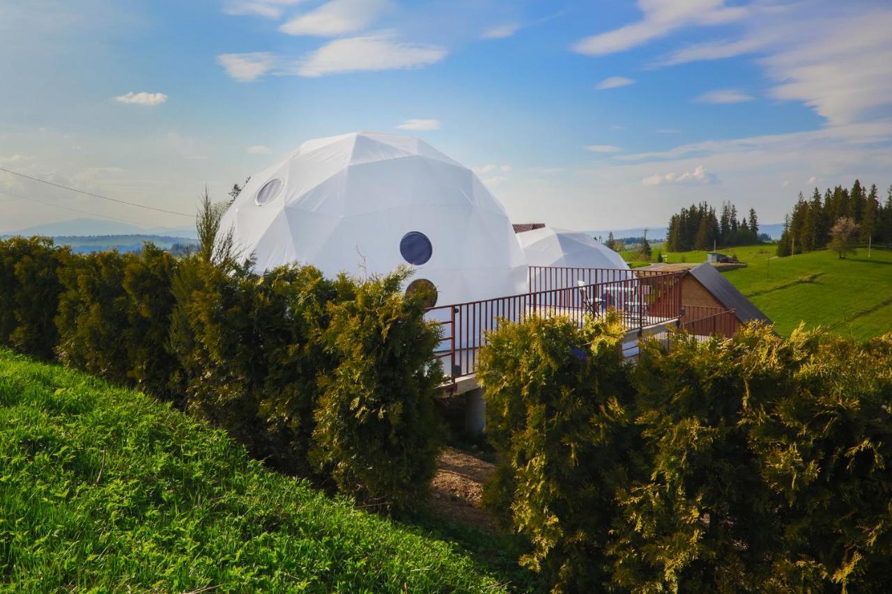 Bed and Breakfast Glamping Gliczarow Klapnioki Leśnica Esterno foto